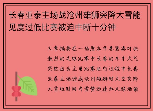 长春亚泰主场战沧州雄狮突降大雪能见度过低比赛被迫中断十分钟